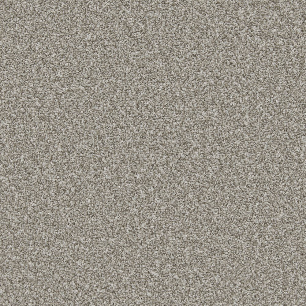 Rio Twist Carpet - Racoon