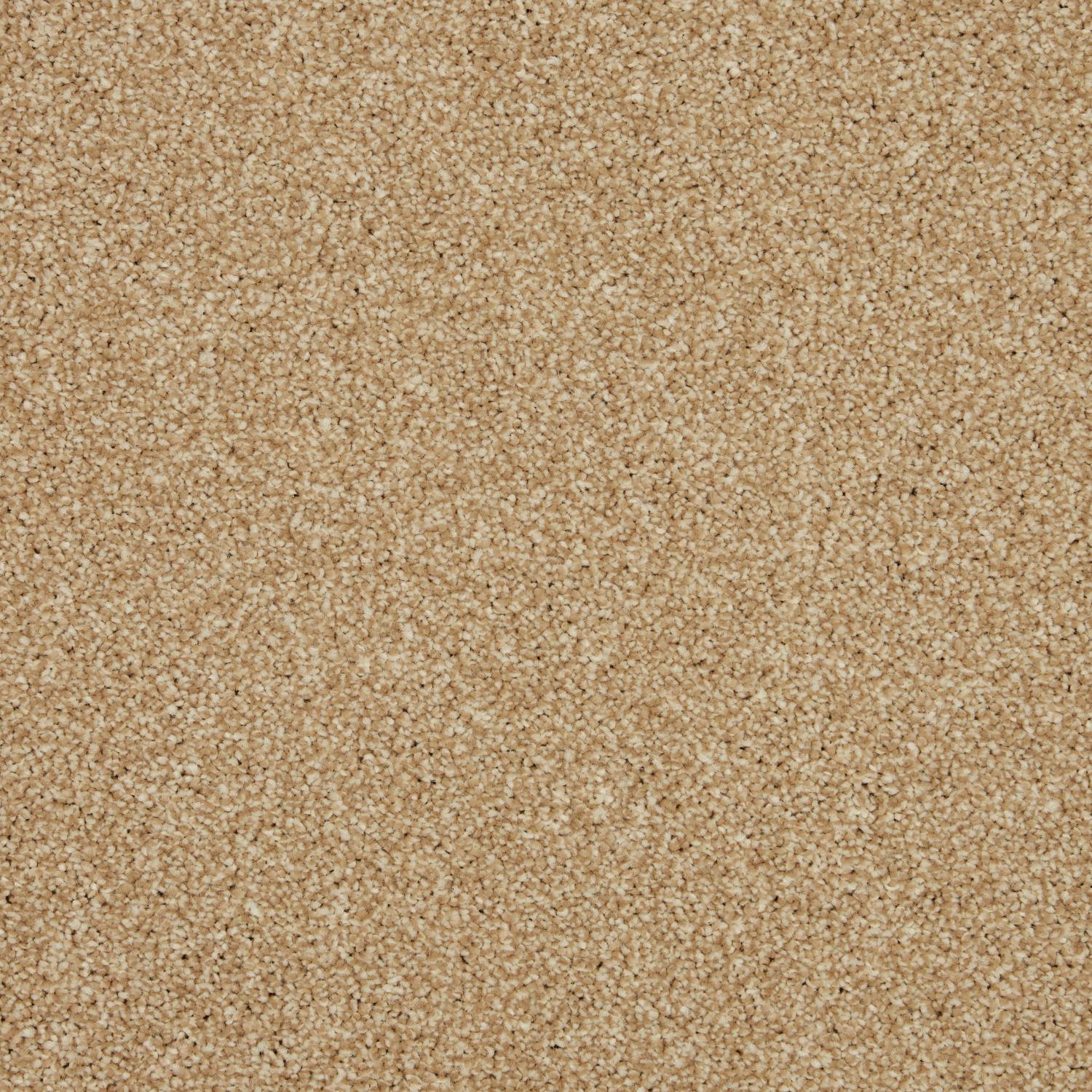 Rosneath Saxony Carpet - Beach Haven