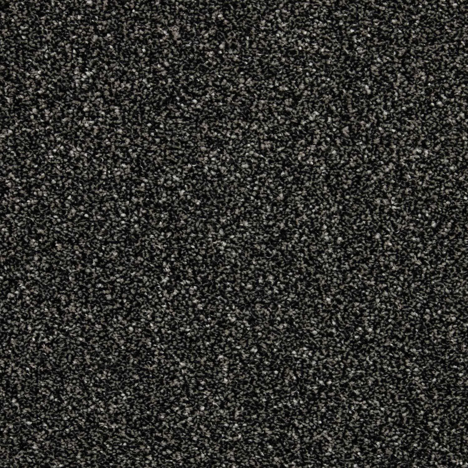 Rosneath Saxony Carpet - Blackbird
