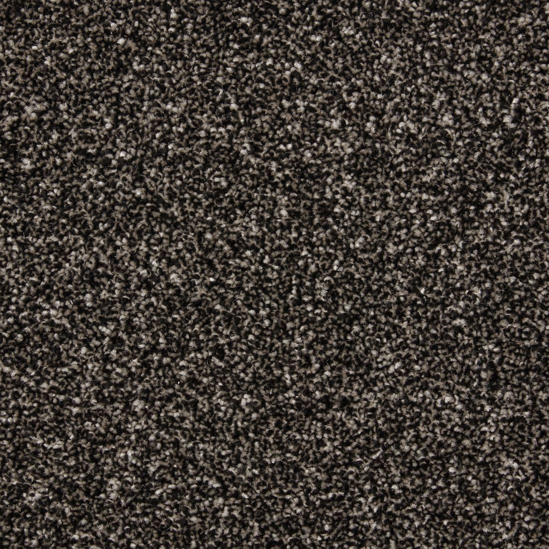 Rosneath Saxony Carpet - Blackbird