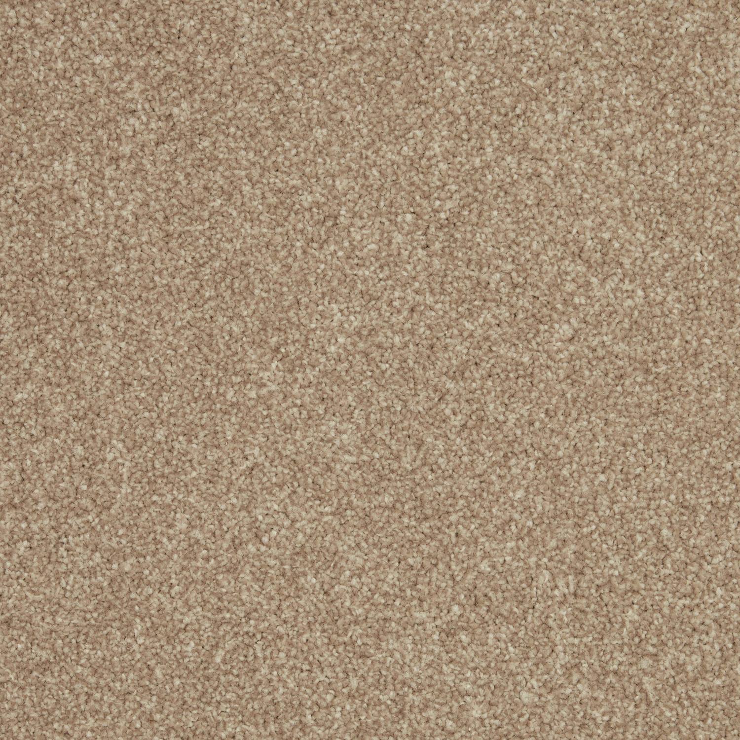Rosneath Saxony Carpet - Great Owl