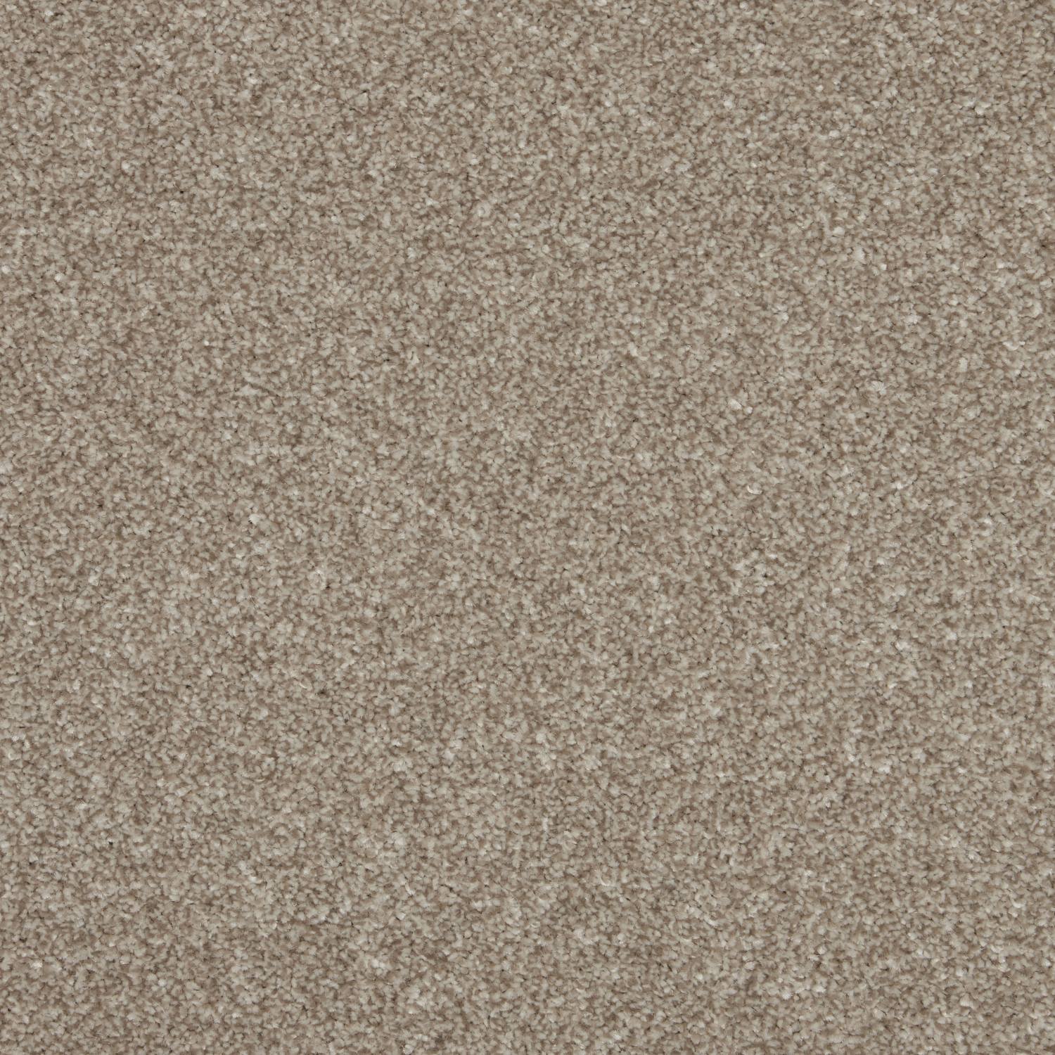 Rosneath Saxony Carpet - Meerkat