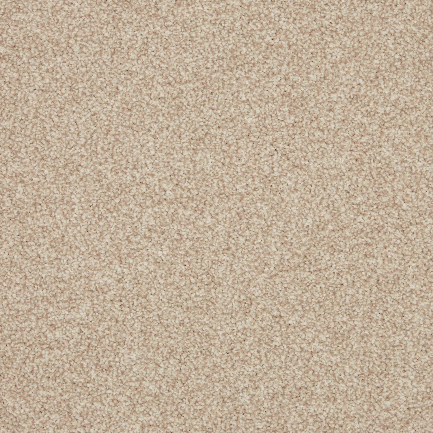 Rosneath Saxony Carpet - Seahorse