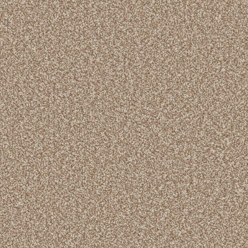 Sandown Twist Carpet - Castor