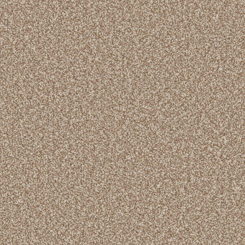 Sandown Twist Carpet - Castor Sandown Twist Carpet - Castor