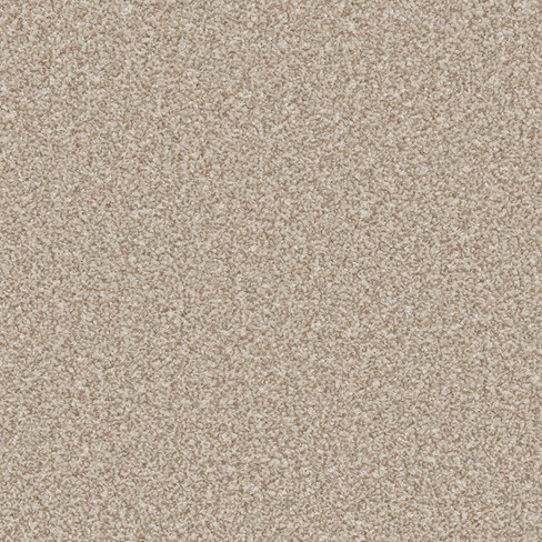 Sandown Twist Carpet - Wholemeal