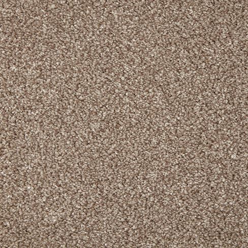 Swanmore Deluxe Twist Carpet - Allspice