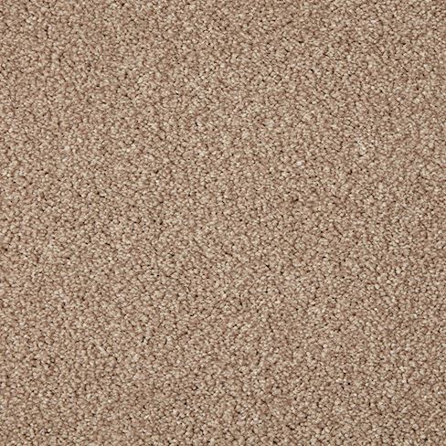 Swanmore Deluxe Twist Carpet - Brambling