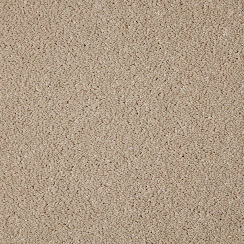 Swanmore Deluxe Twist Carpet - Dorset Horn