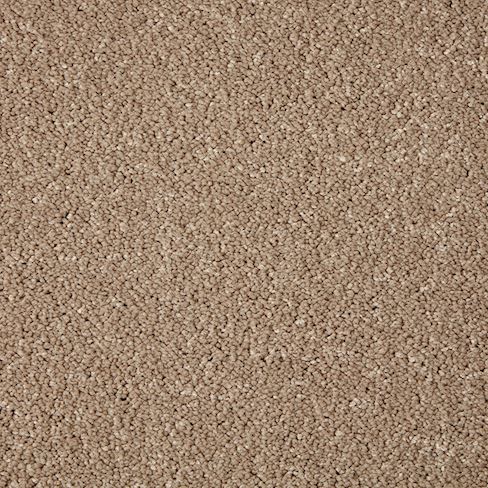 Swanmore Deluxe Twist Carpet - Wildcat