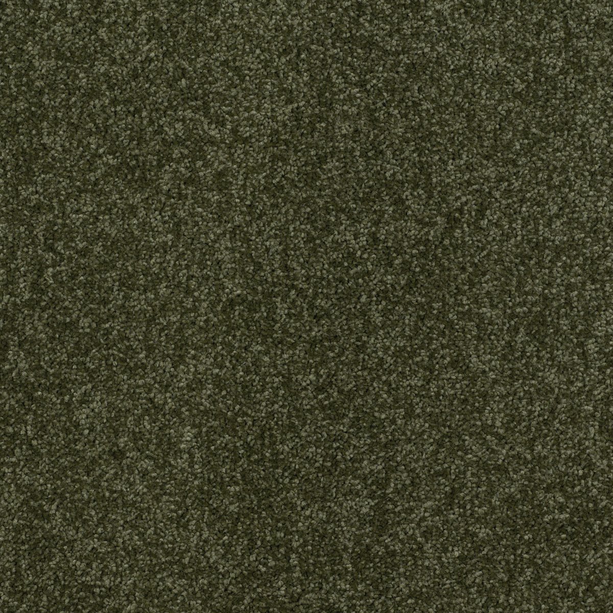 New Verve Twist Carpet - Ardour