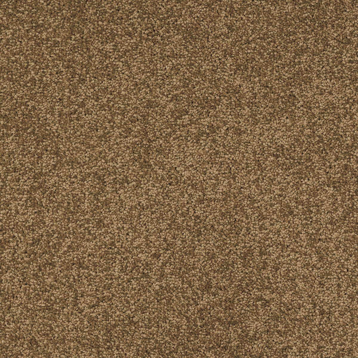 New Verve Twist Carpet - Dynamic