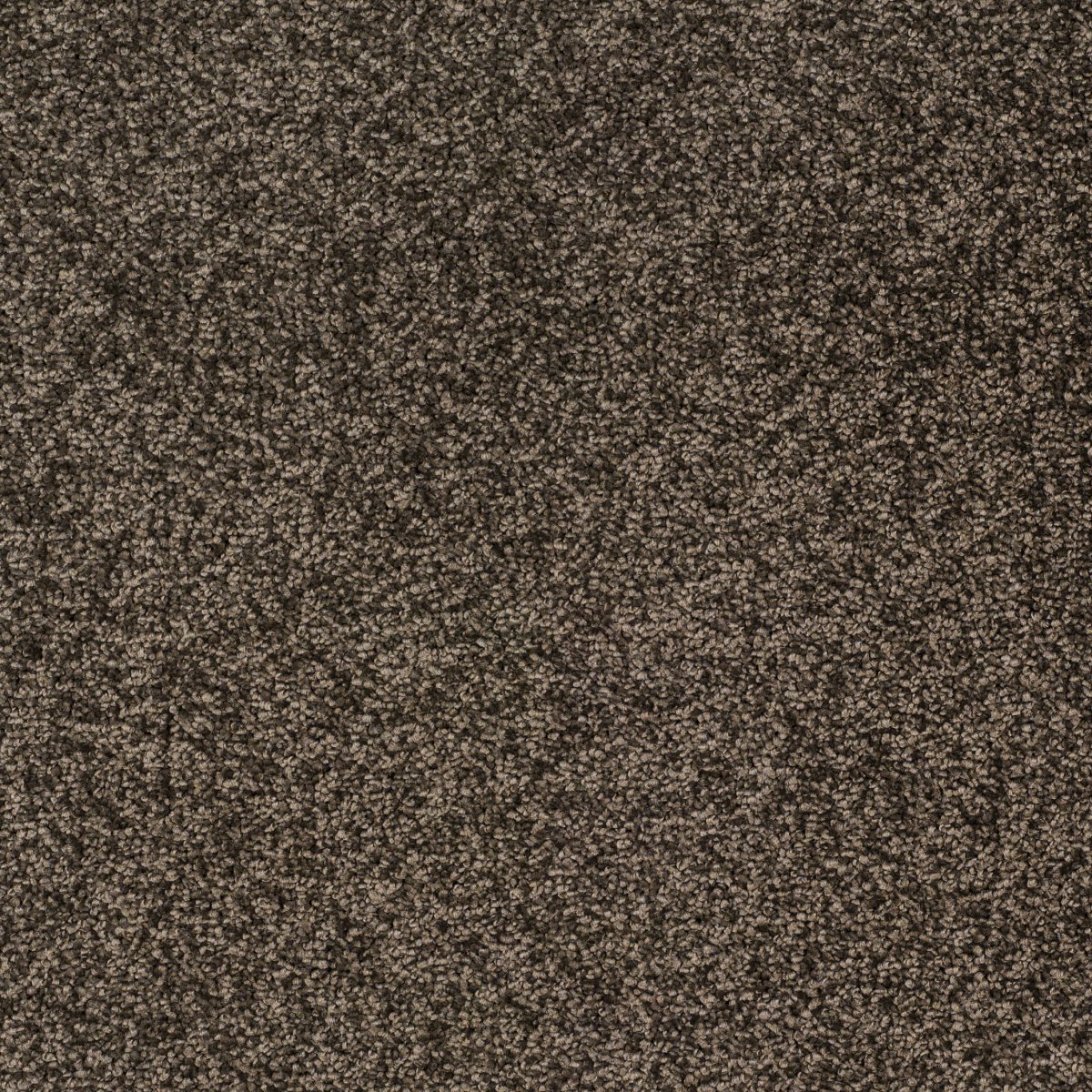 New Verve Twist Carpet - Vitality New Verve Twist Carpet - Vitality