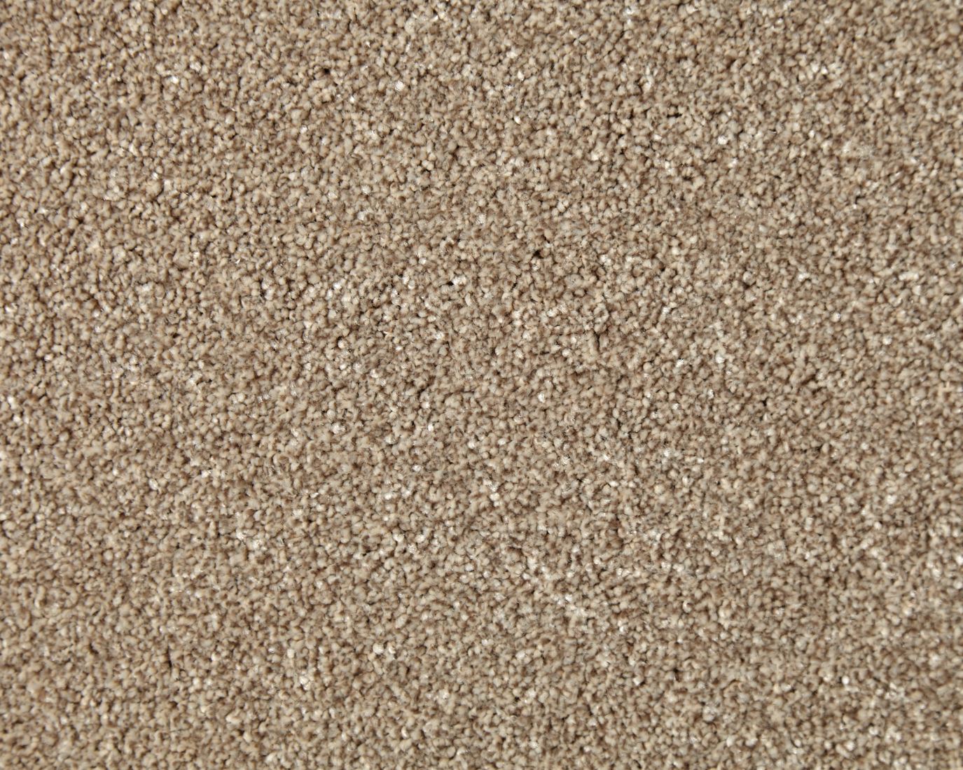 Westray Heathers Twist Carpet - Beehive Westray Heathers Twist Carpet - Beehive