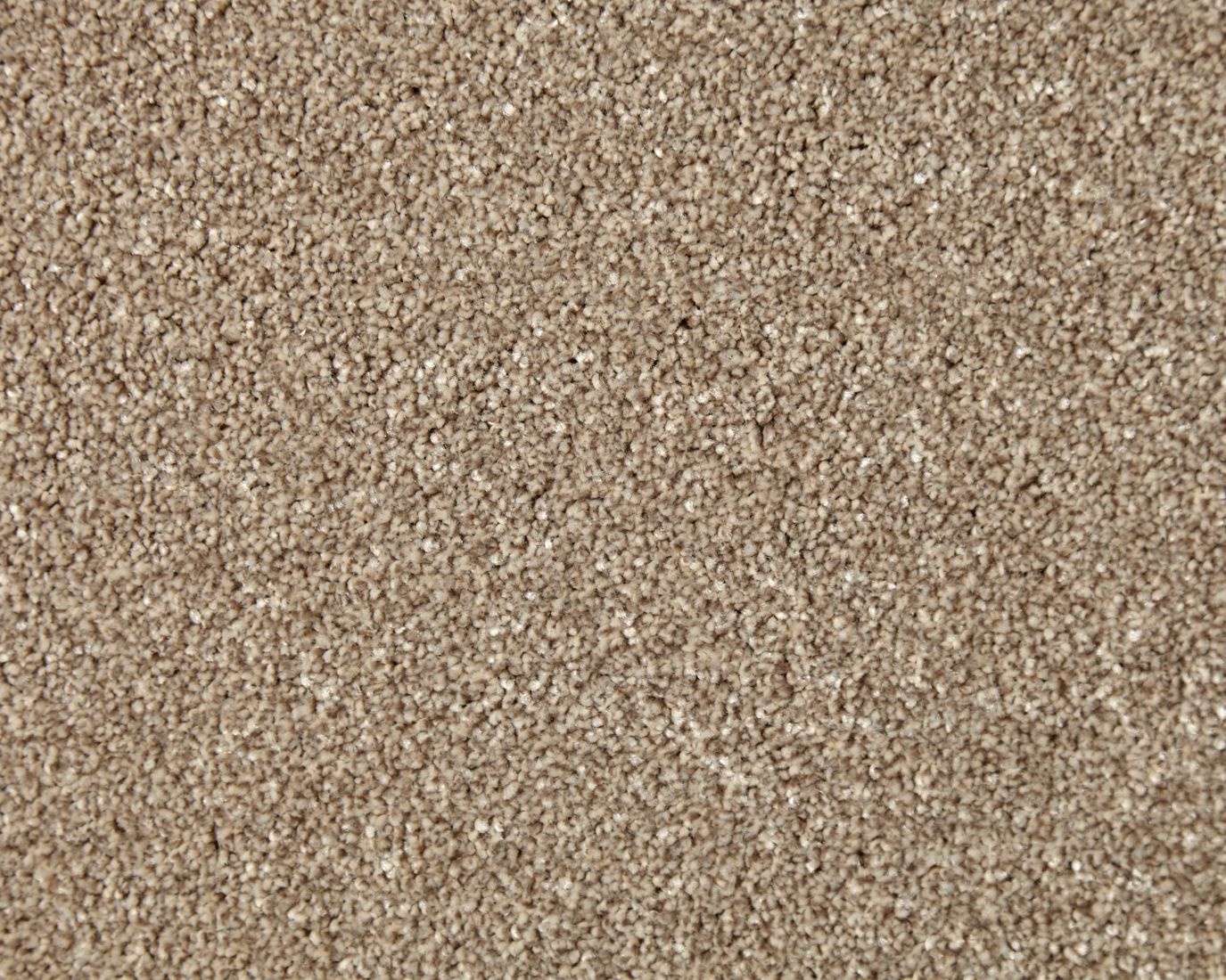 Westray Heathers Twist Carpet - Beehive