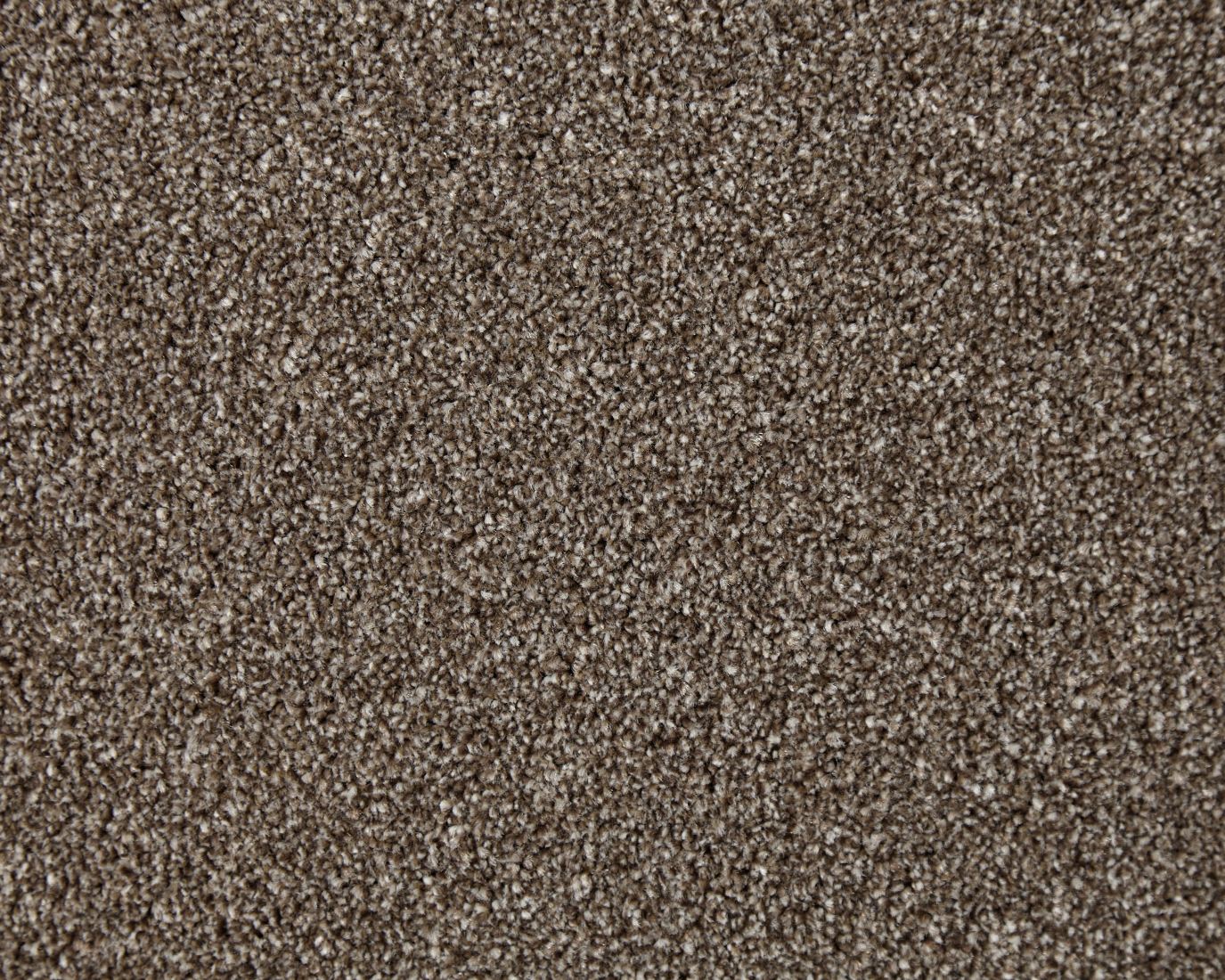 Westray Heathers Twist Carpet - Burnt Oak