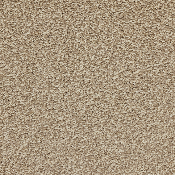 Hallow Twist Carpet - Latte