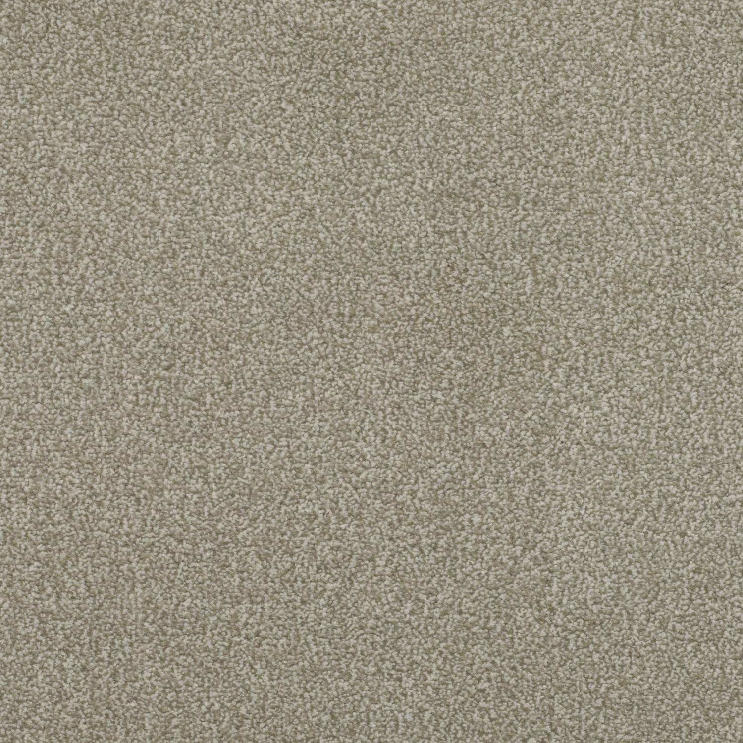 Obsession Twist Luxury Deep Pile Carpet - 174 Silver Birch