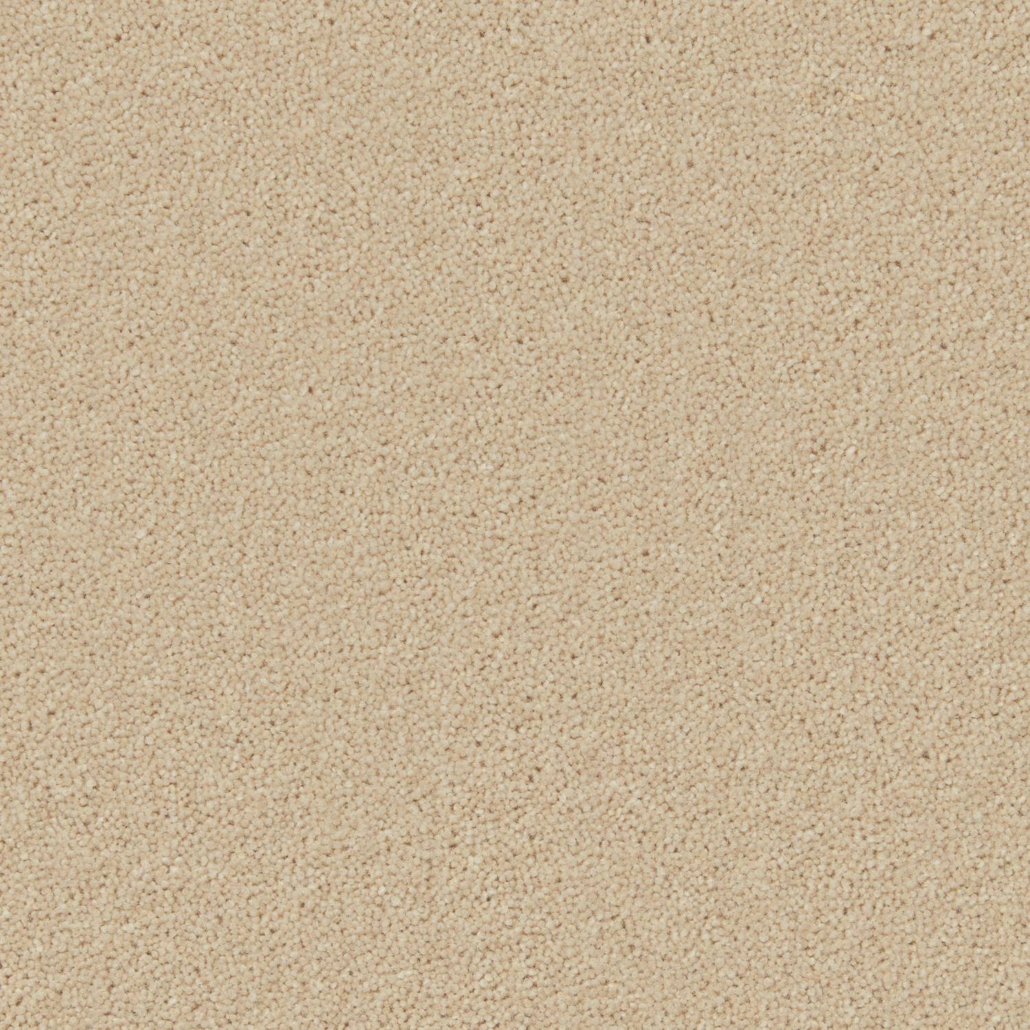Perendale Supreme Wool Twist Carpet - Velvet