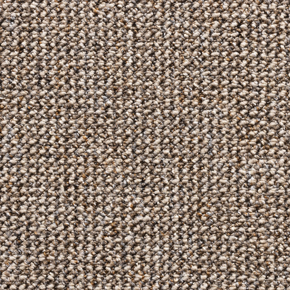 Titan Loop Pile Carpet - Cognac 1418
