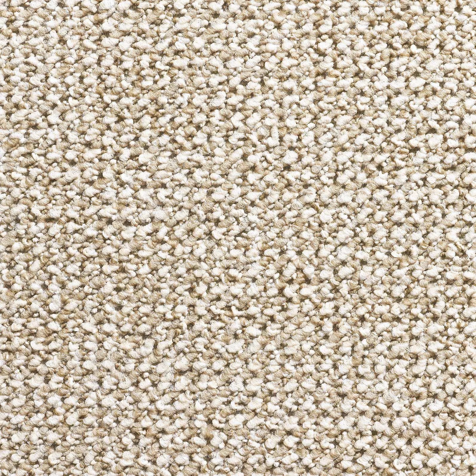 Titan Loop Pile Carpet - Berber 1413