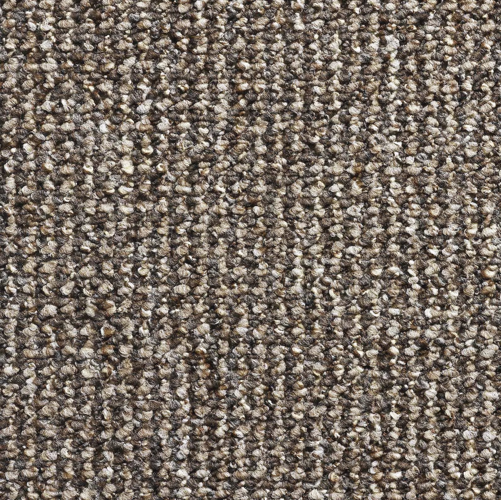 Titan Loop Pile Carpet - Taupe 1425