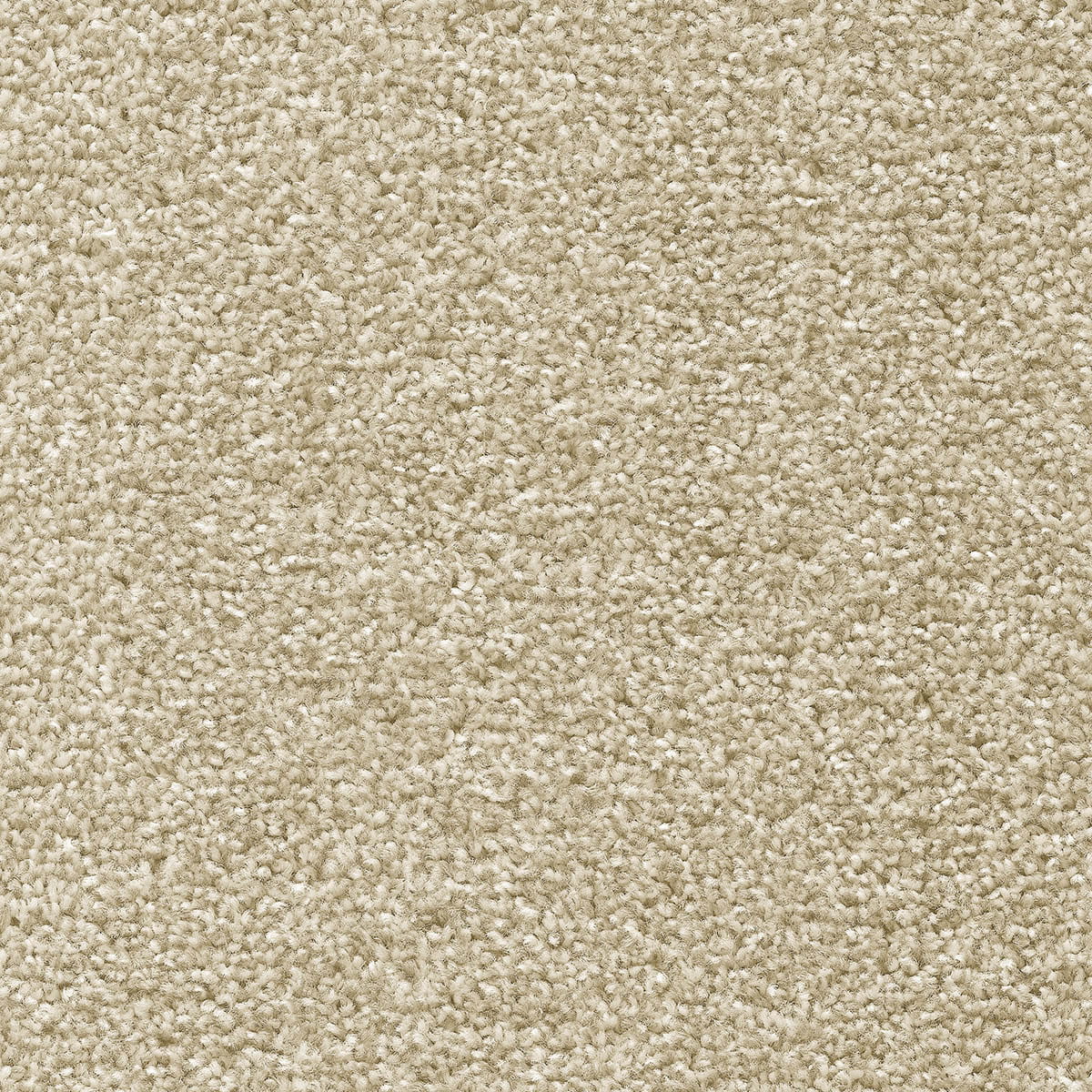 Tuftex Twist Carpet - 03 White Mulberry