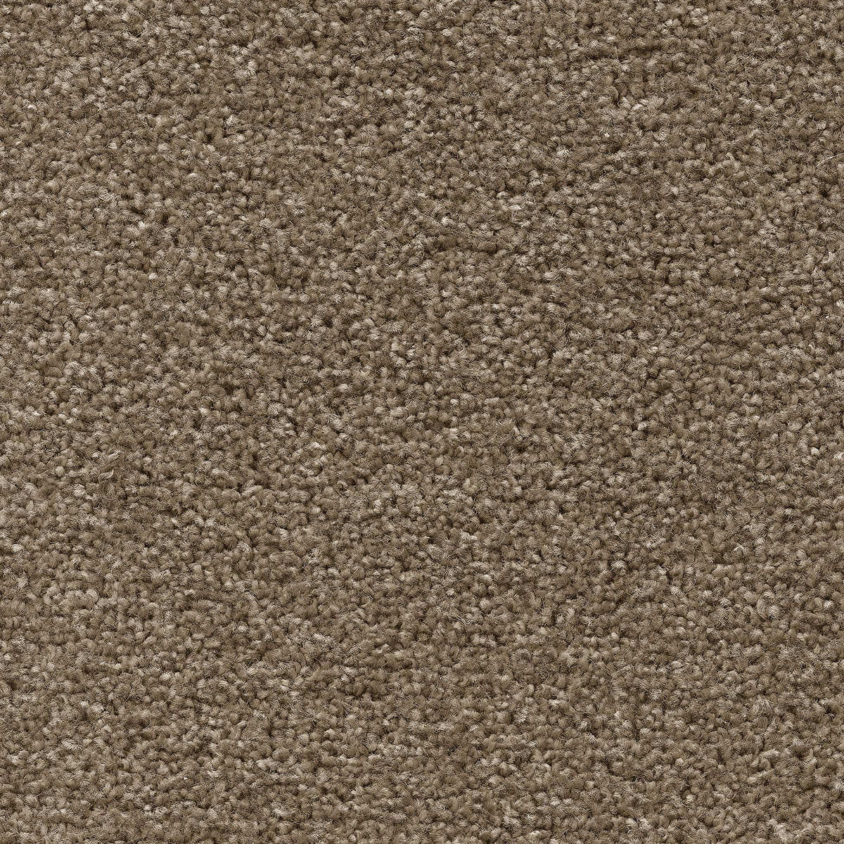 Tuftex Twist Carpet - 34 Pastel Beige