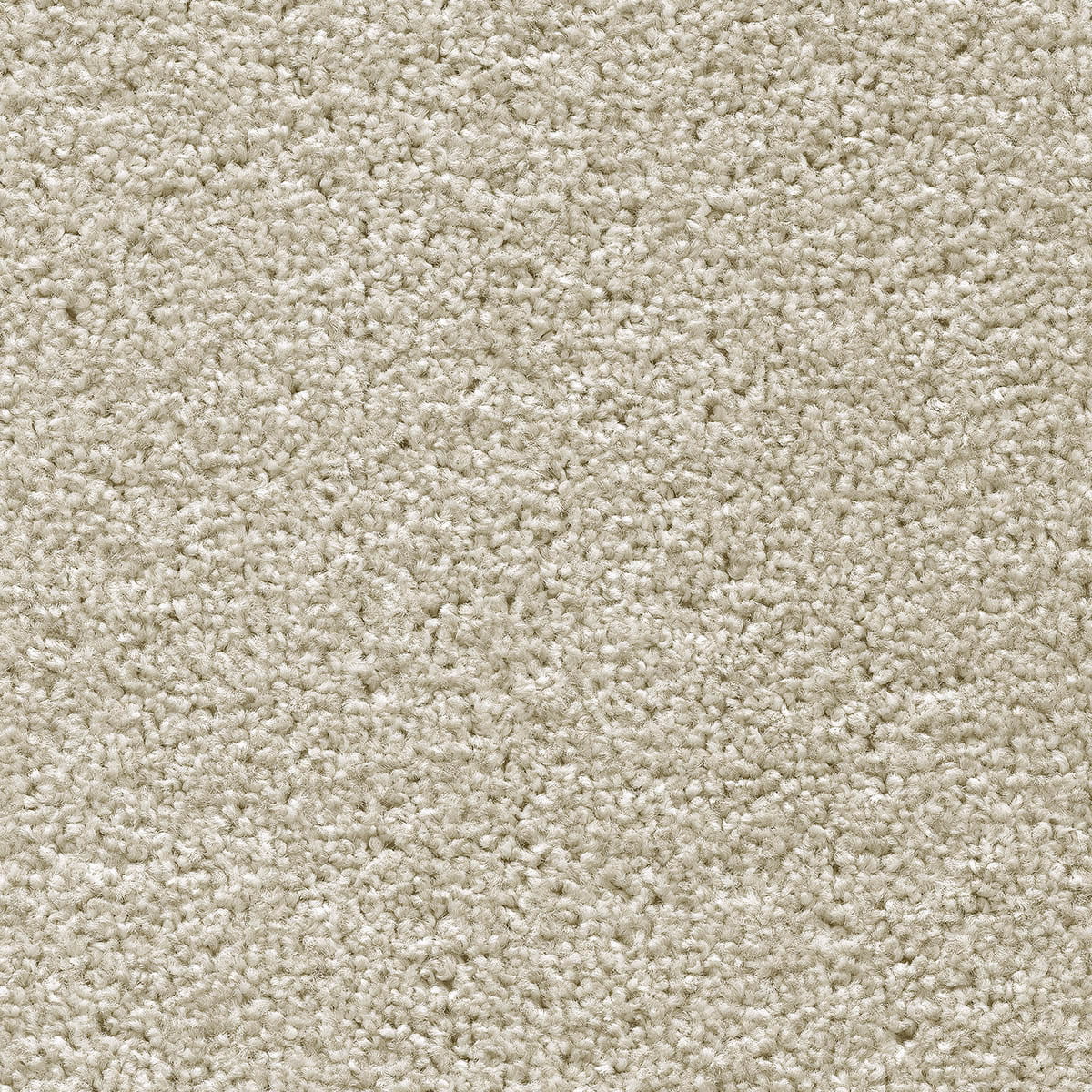 Tuftex Twist Carpet - 92 Caffe Latte