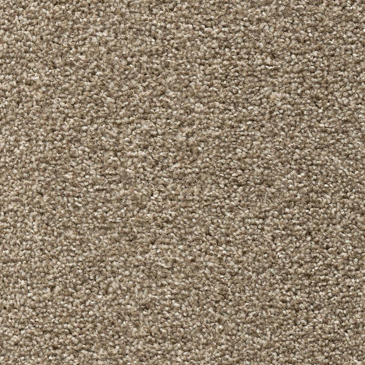 Tuftex Twist Carpet - 32 Pebble Beige