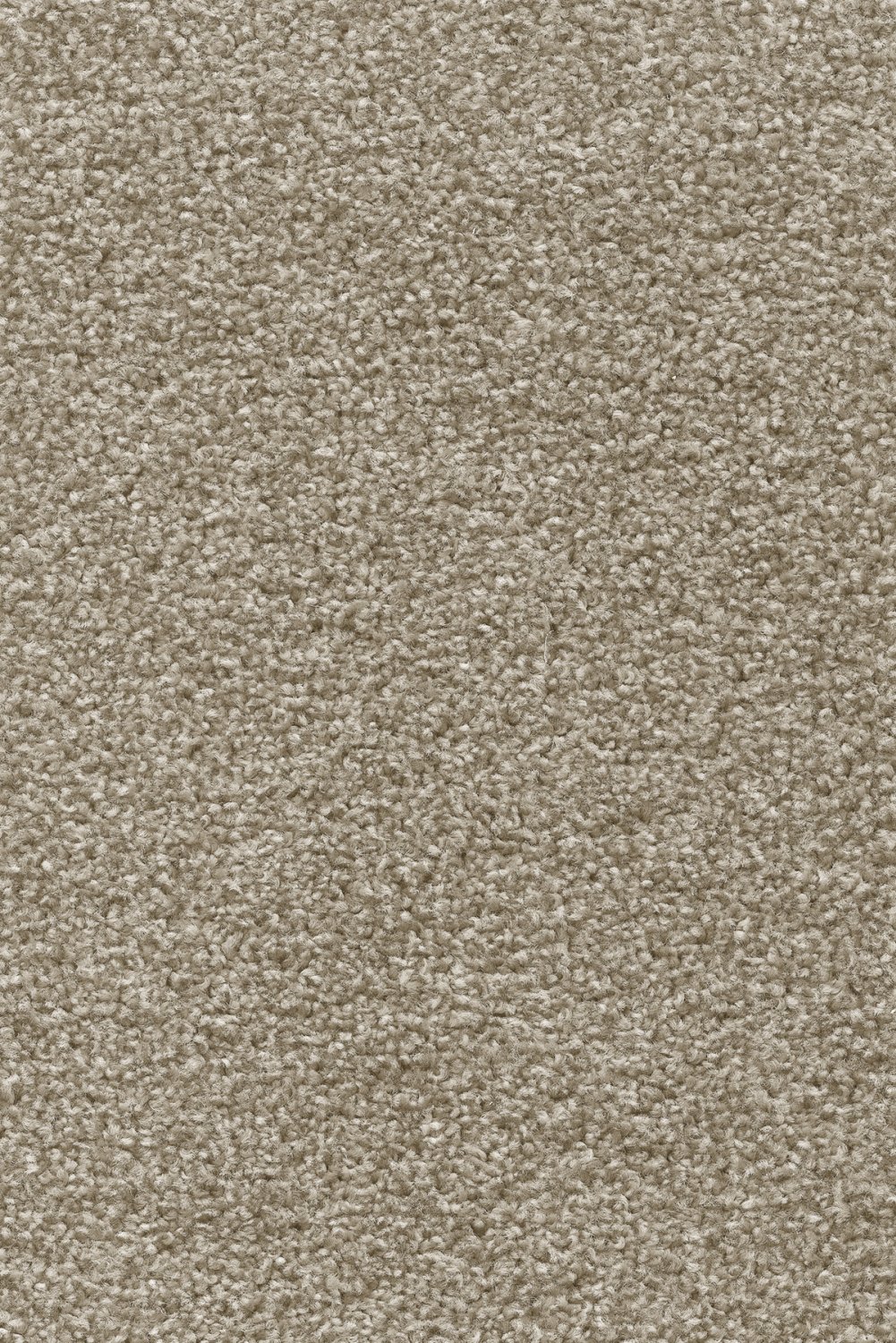 Tuftex Twist Carpet - 35 Oxford Stone
