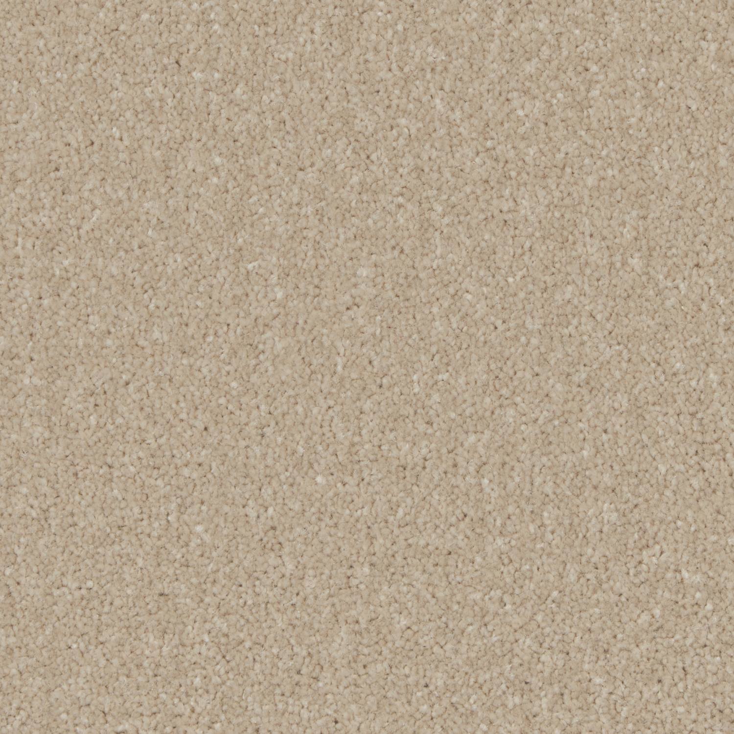 Tuscany Elite Twist Carpet - Barley Bread