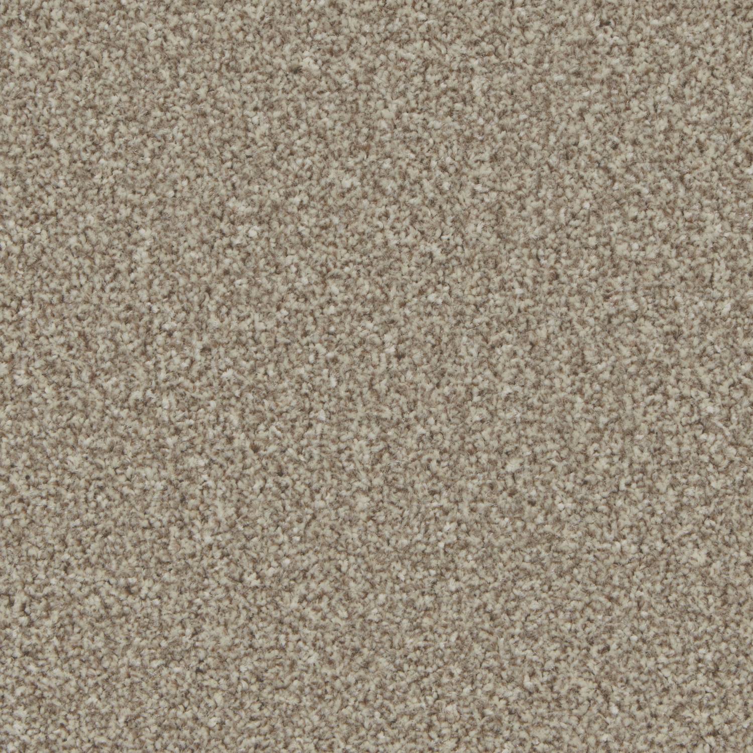 Tuscany Elite Twist Carpet - Chic Shadow