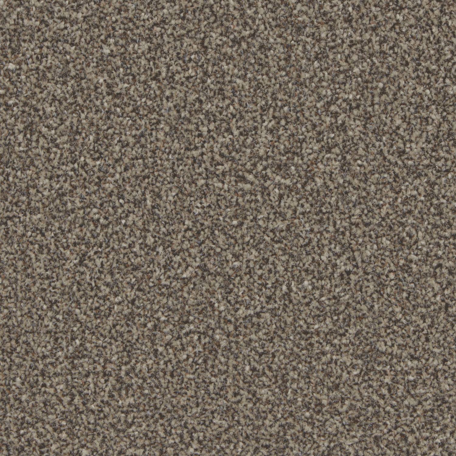 Tuscany Elite Twist Carpet - Forest Trail