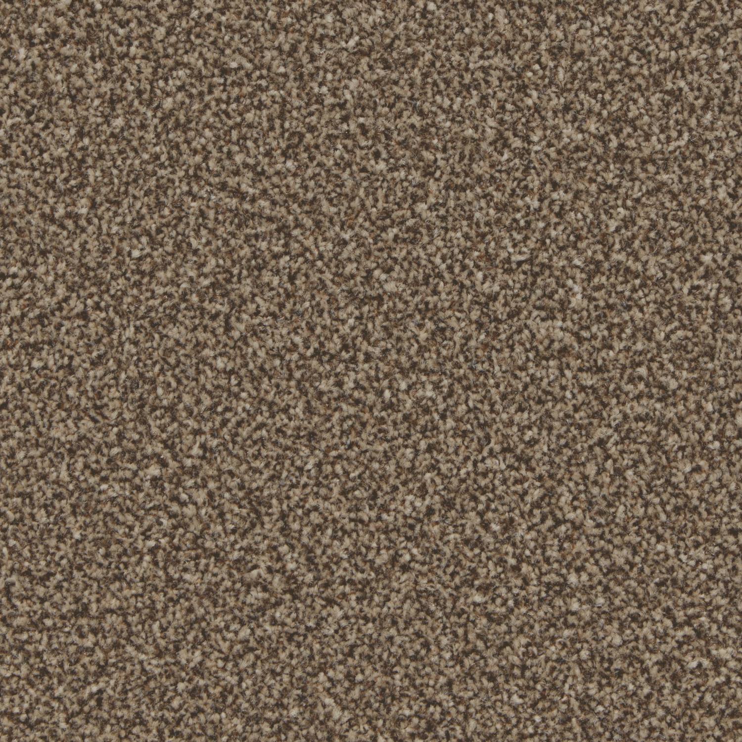Tuscany Elite Twist Carpet - Sandpit