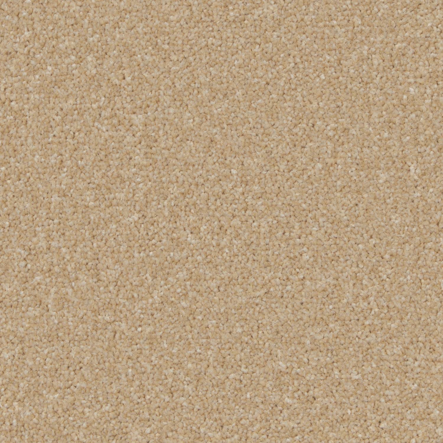 Tuscany Elite Twist Carpet - Whitley Bay
