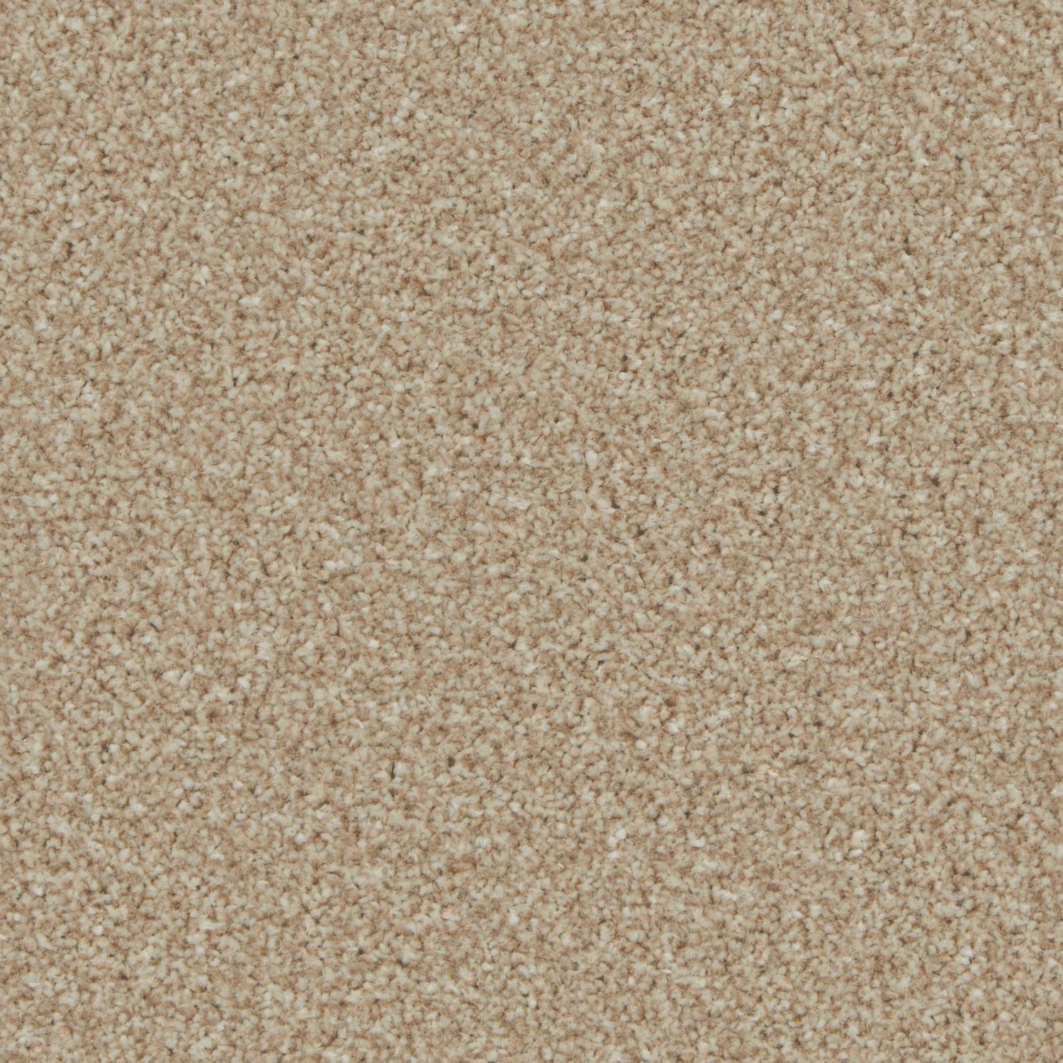 Tuscany Elite Twist Carpet - Wild Bison