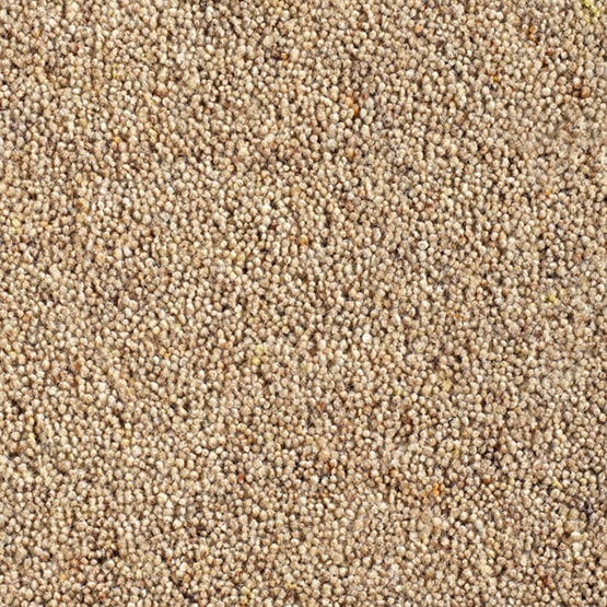 Catania 45oz Wool Twist Carpet - Shortcake