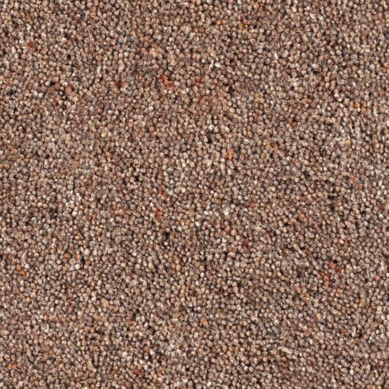 Catania 45oz Wool Twist Carpet - Toast