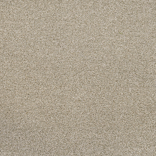 Darius Invictus Carpet - Fern