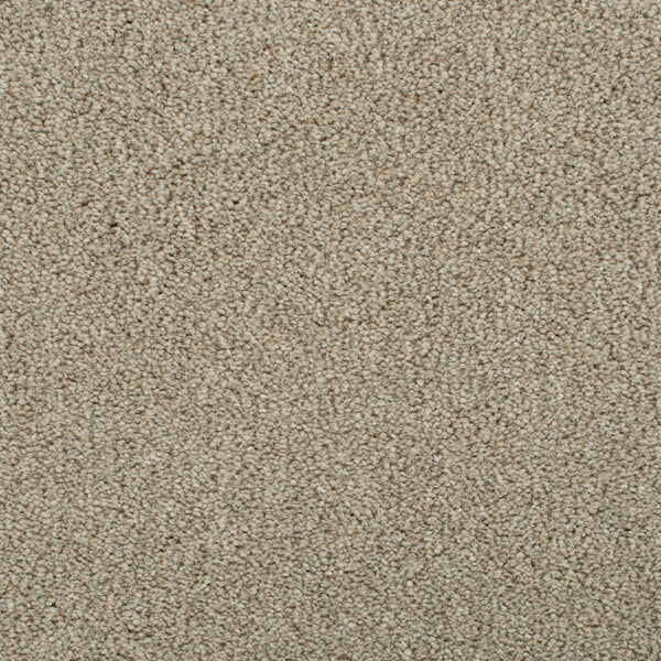 Darius Invictus Carpet - Temple