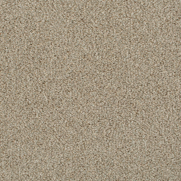 Darius Invictus Carpet - Wheat Straw 