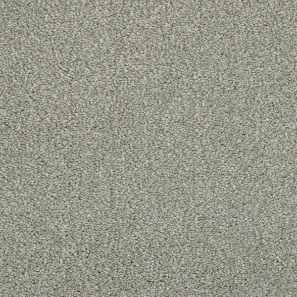 Darius Invictus Carpet - Silver Thaw