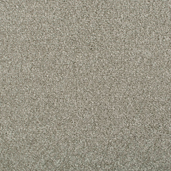 Darius Invictus Carpet - Duante
