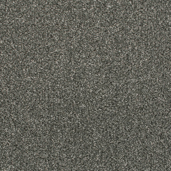 Darius Invictus Carpet - Liliul
