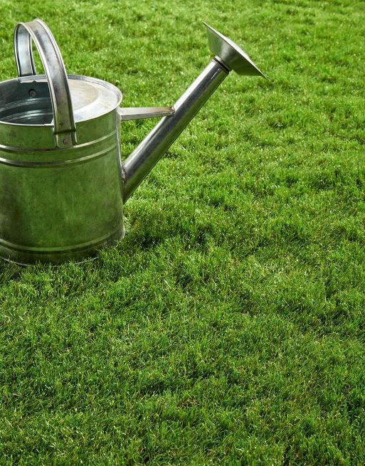 Cadiz 40mm Grass Cadiz 40mm Grass