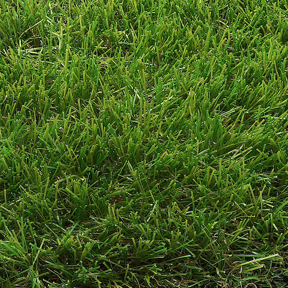 Cadiz 40mm Grass Cadiz 40mm Grass
