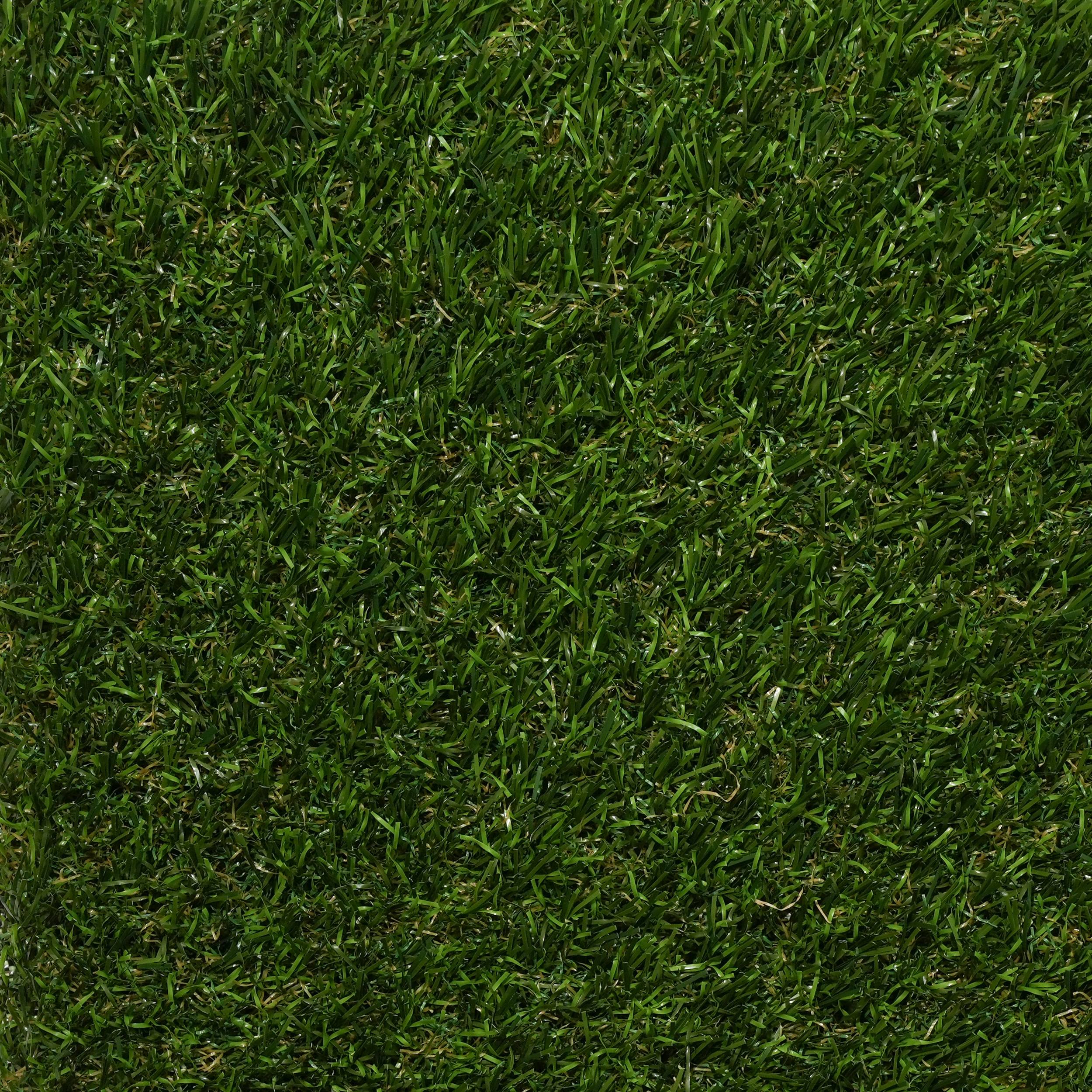 Rushmere 40mm Grass