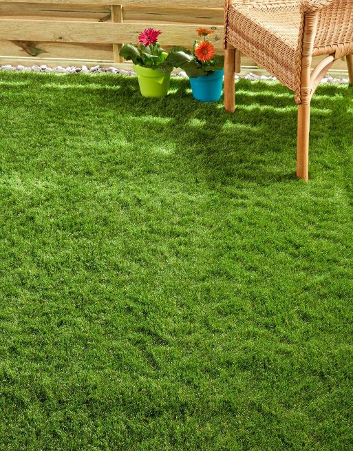 Cadiz 40mm Grass Cadiz 40mm Grass