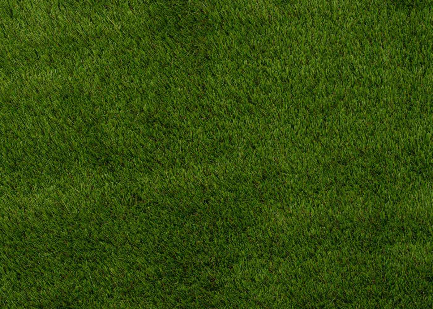 Cadiz 40mm Grass Cadiz 40mm Grass